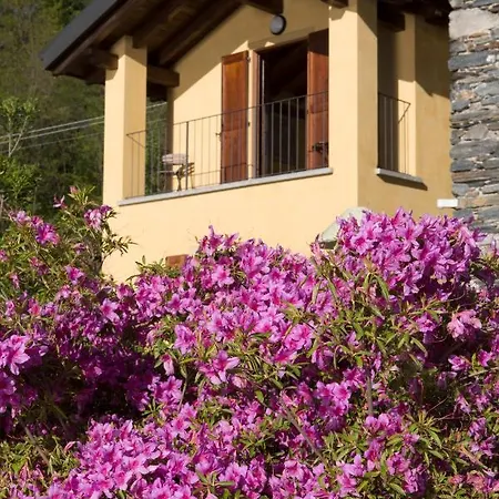 Дом отдыха Violina