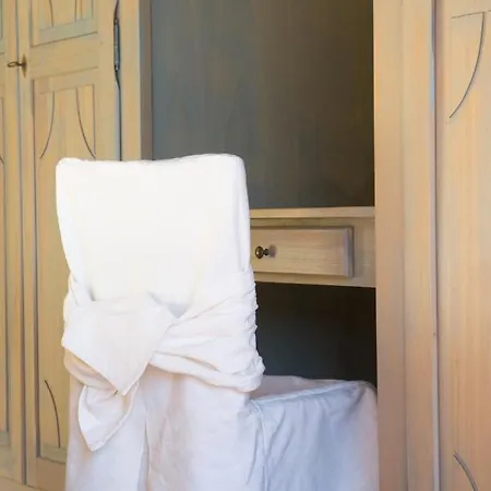 Violina * Петтенаско