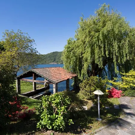 Violina * Петтенаско