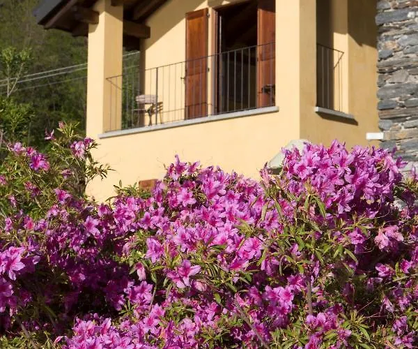 Ferienhaus Violina